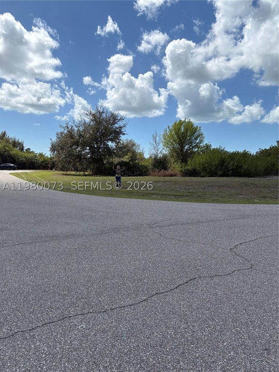 Picture 9