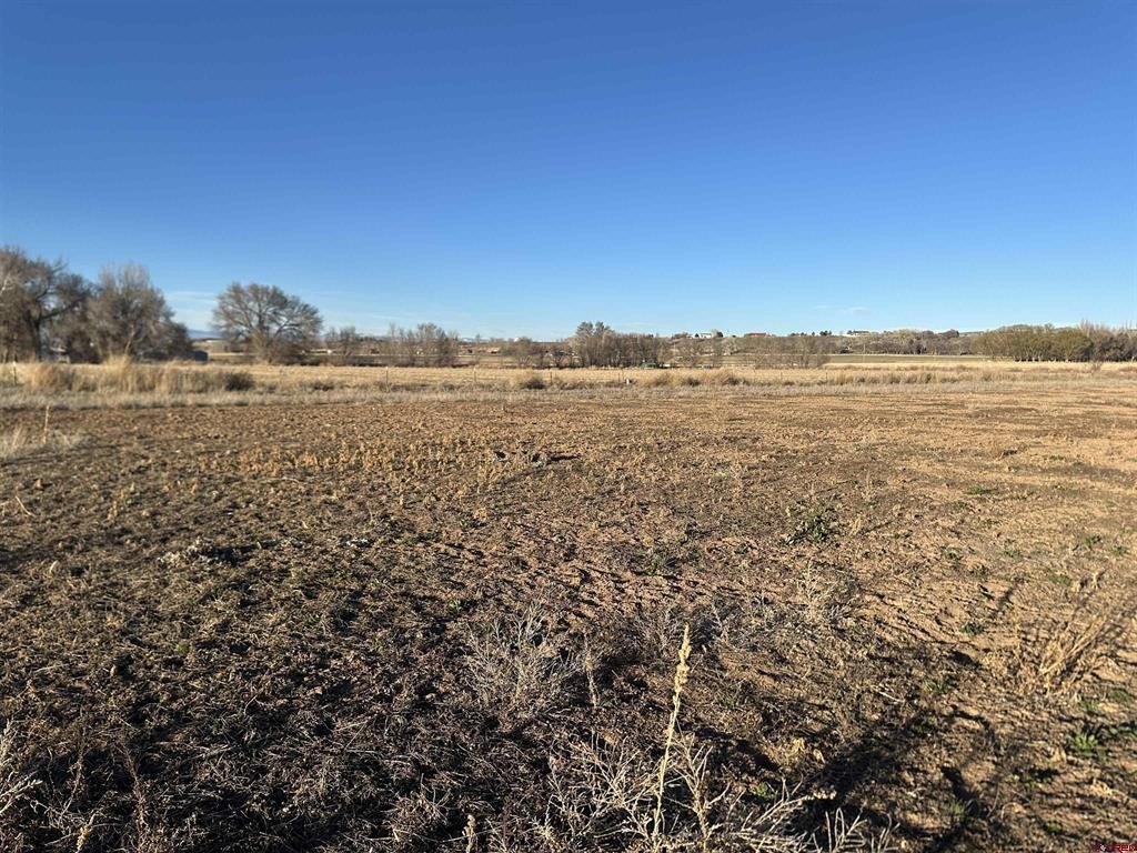 Montrose, CO Land For Sale