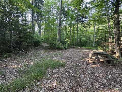 Buildable Land Near Sandy River
