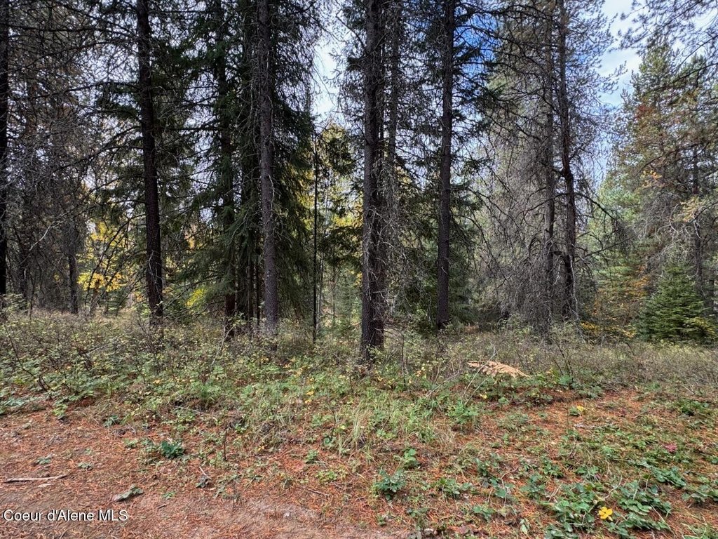 Picture 17