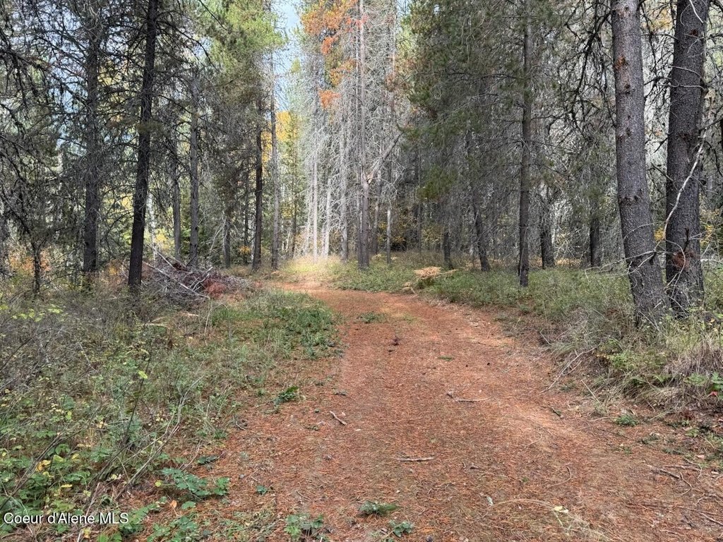 Picture 26