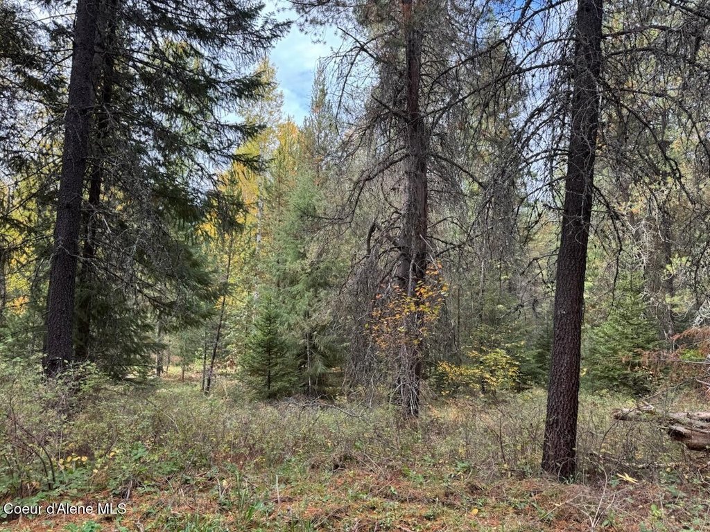 Picture 19