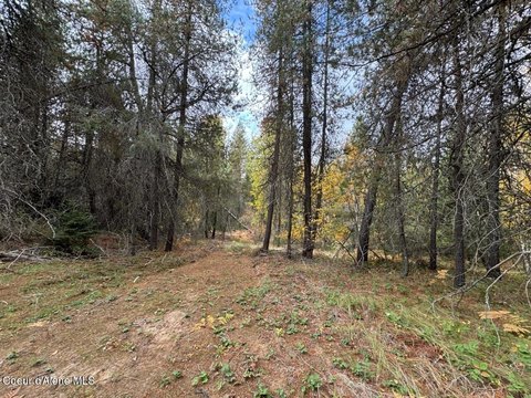 Land, Sandpoint, ID