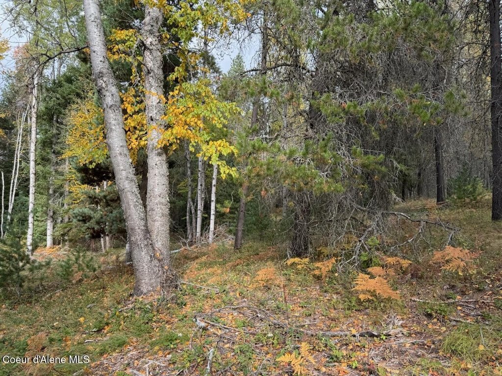 Picture 12