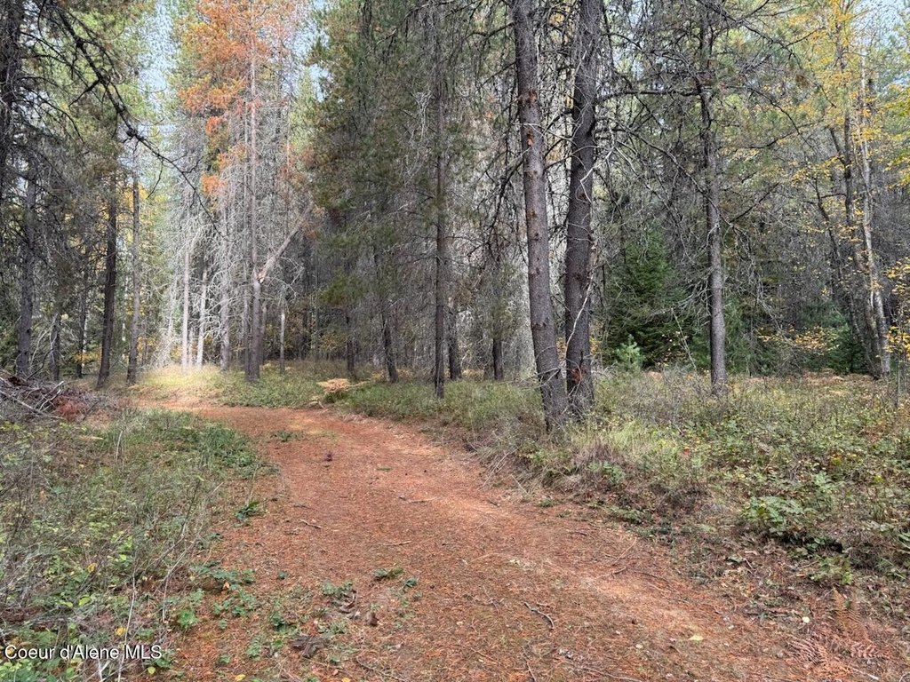 Picture 22