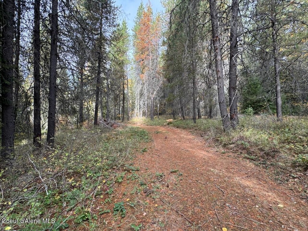 Picture 25