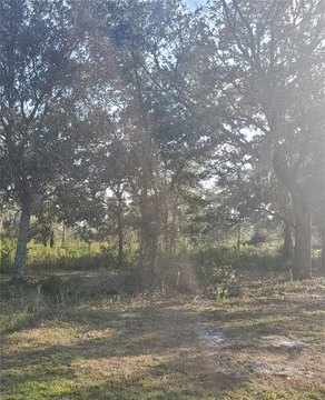 Land, INDIAN LAKE ESTATES, FL