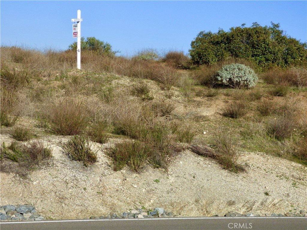 Picture 15