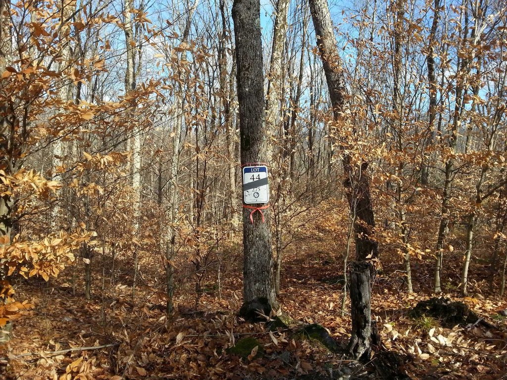 Picture 5