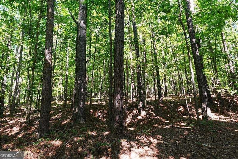 Picture 19