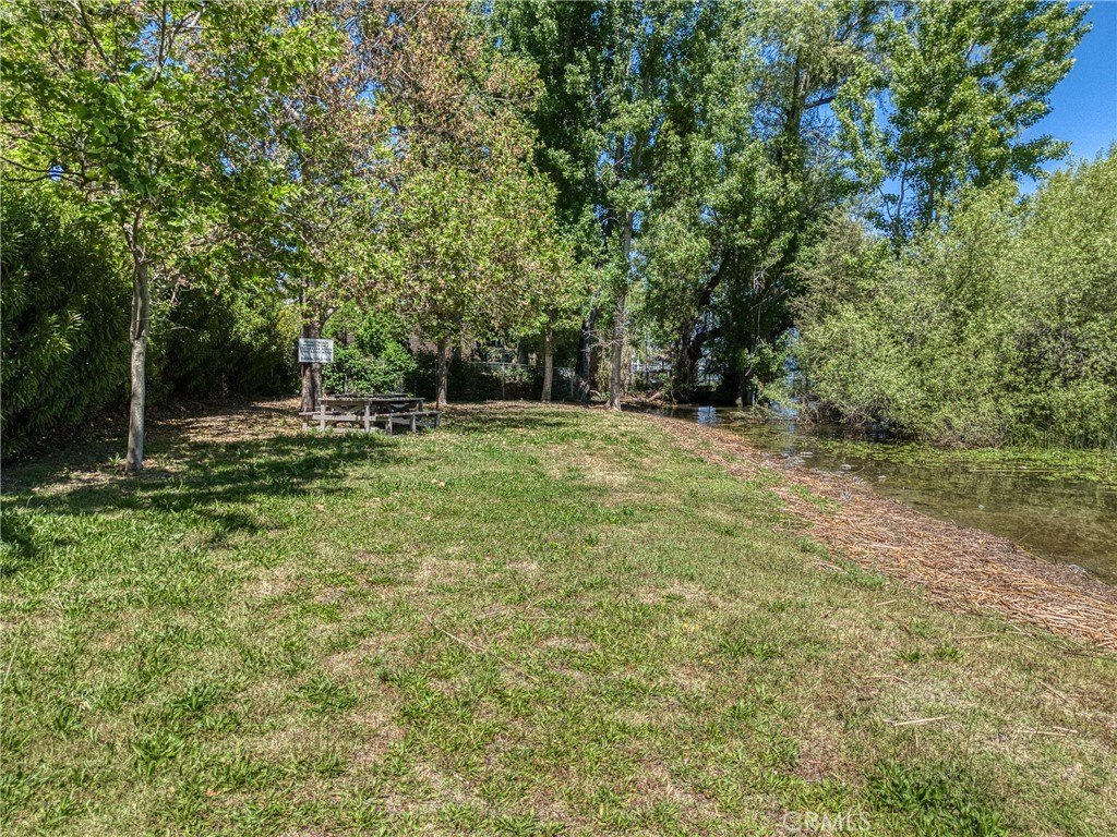Picture 16