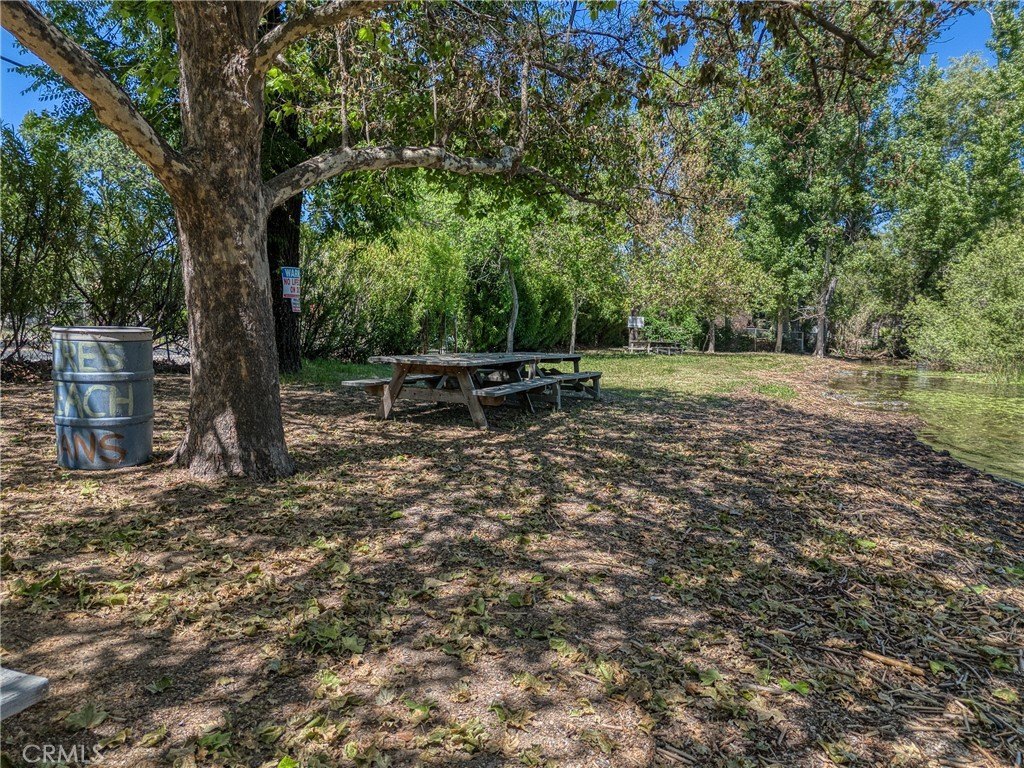 Picture 22