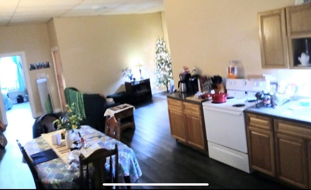 Picture 14