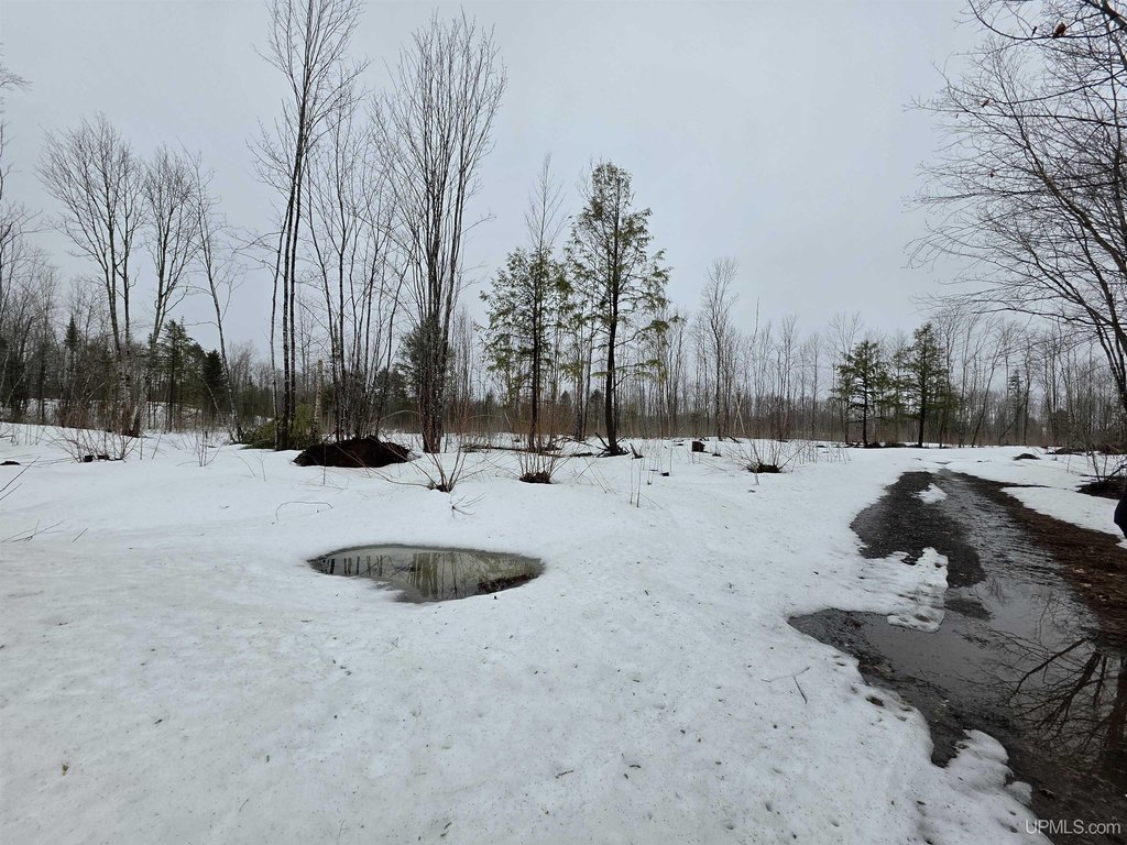 Picture 11