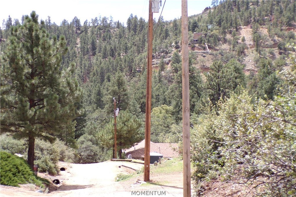 Picture 5