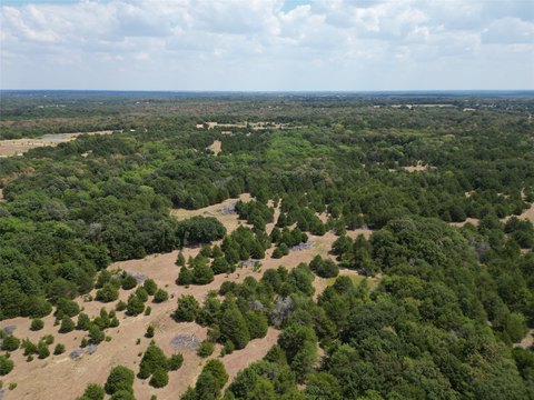 Land, Celeste, TX