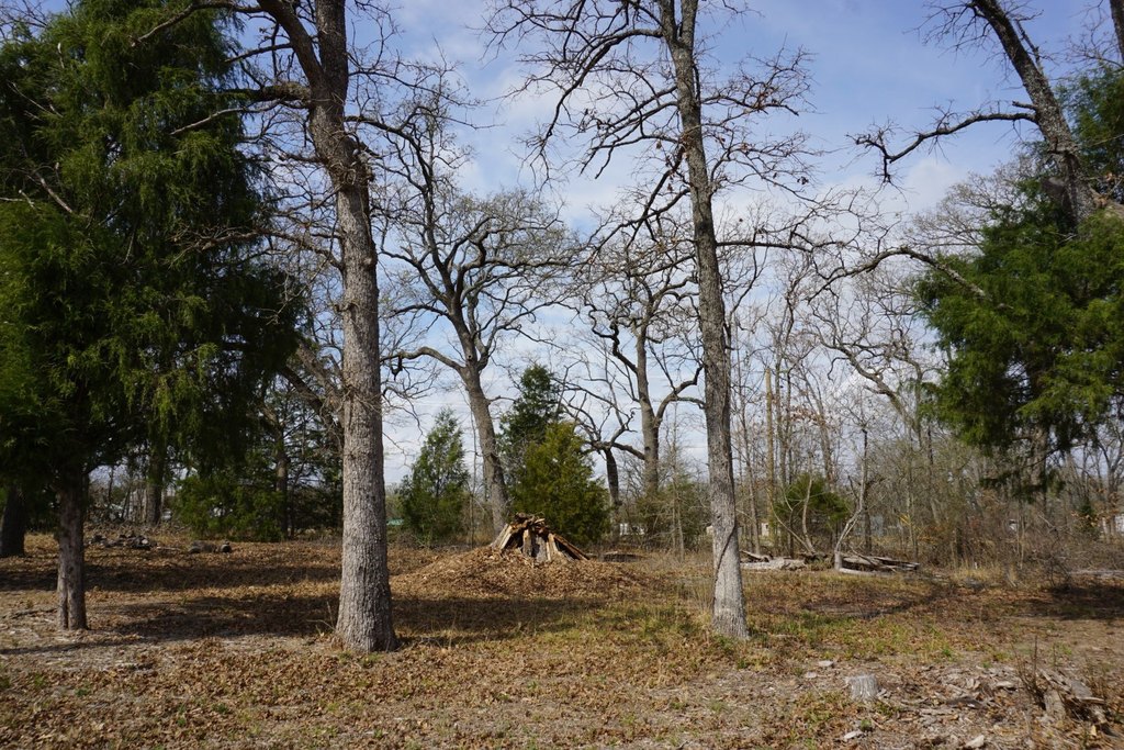 Picture 3
