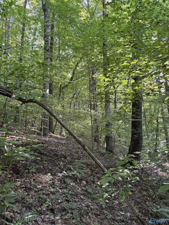 Picture 9