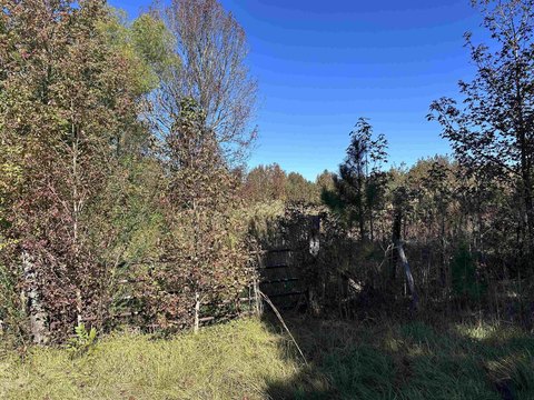22 Acres Bordering National Forest