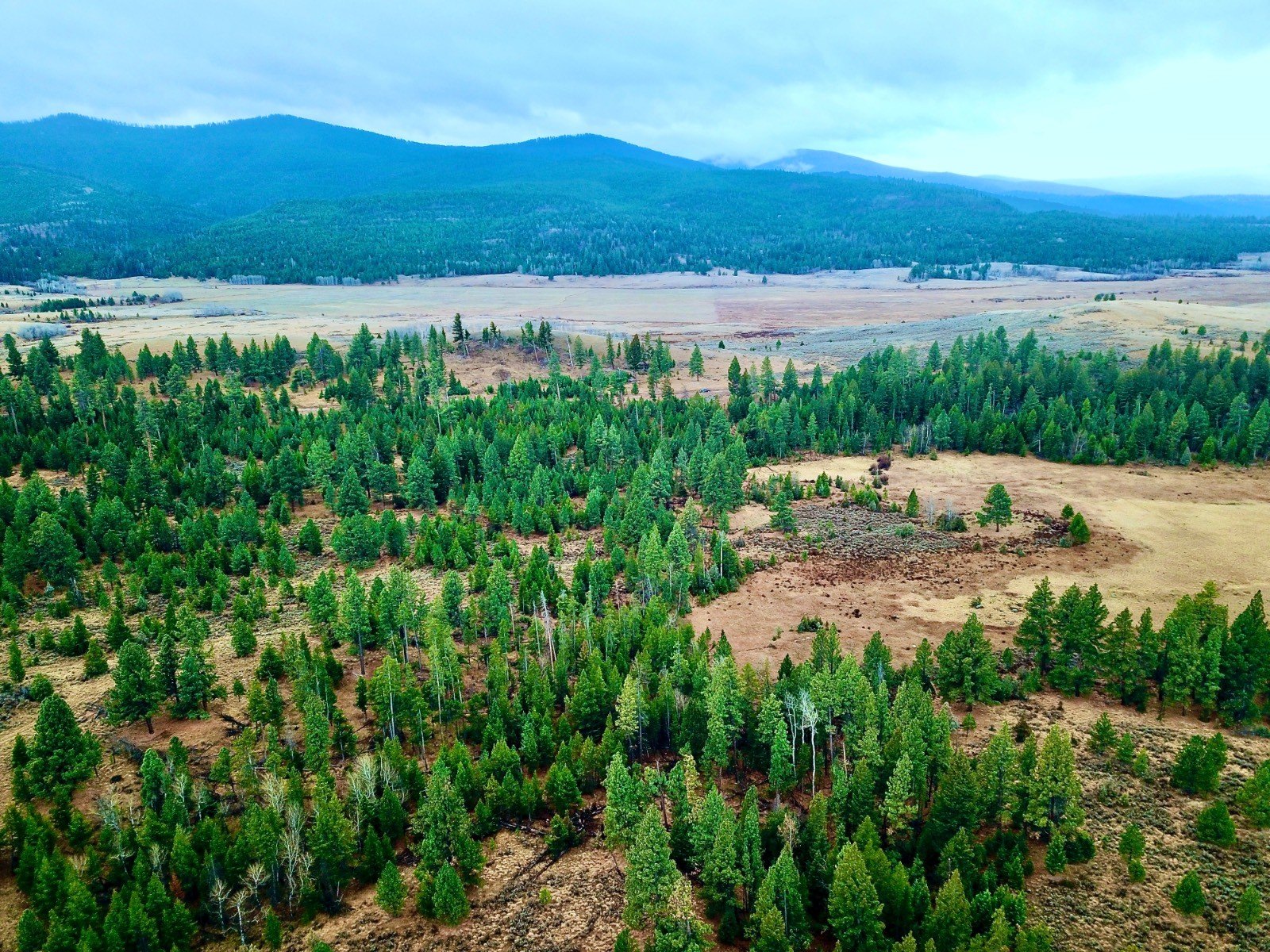 Recreational Land Bordering State Land