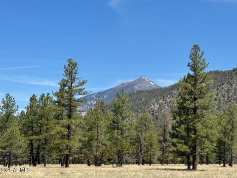 Acreage Homesite with Mountain Views