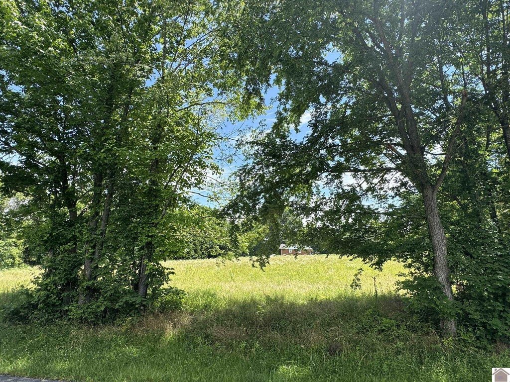 Picture 16