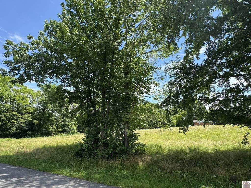 Picture 17