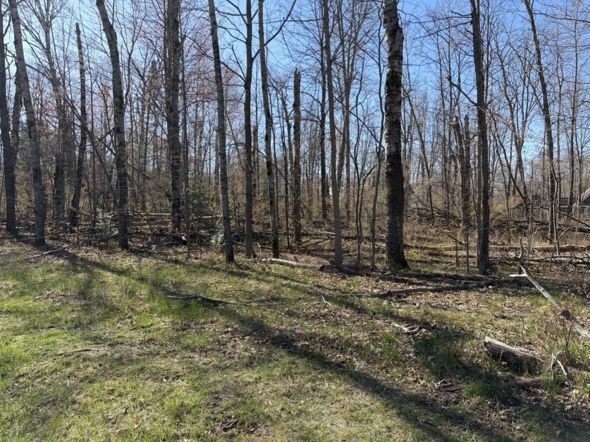 Lake of the Pines Land