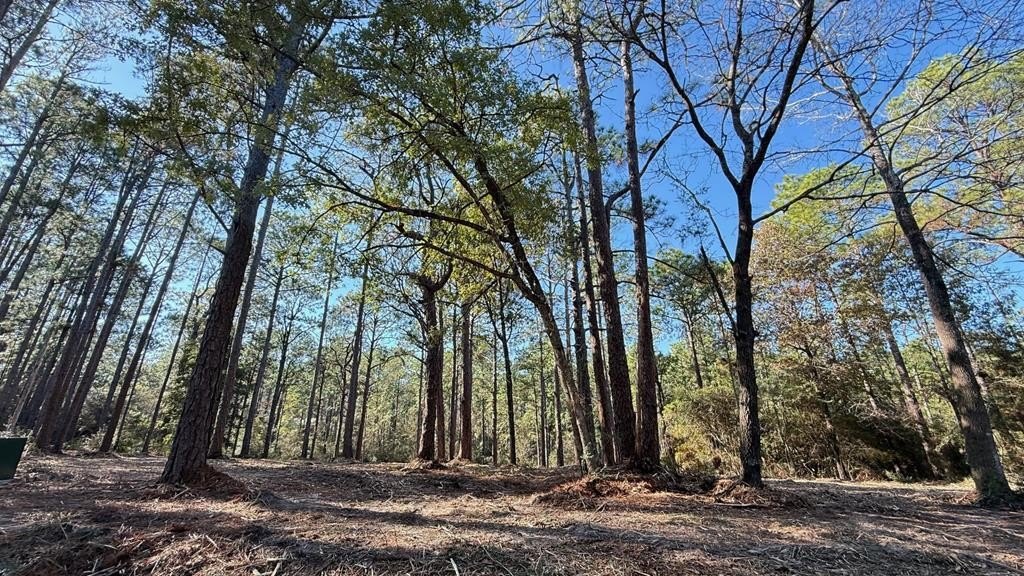 Residential Lot in Rayburn Country