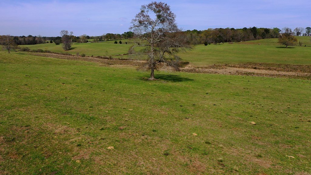Picture 22