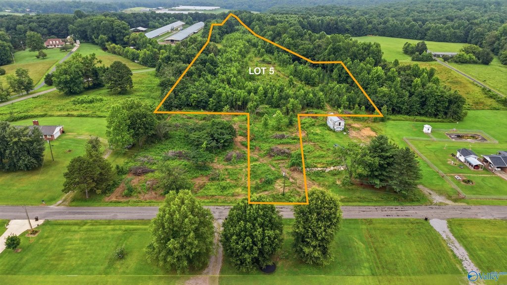 Picture 3