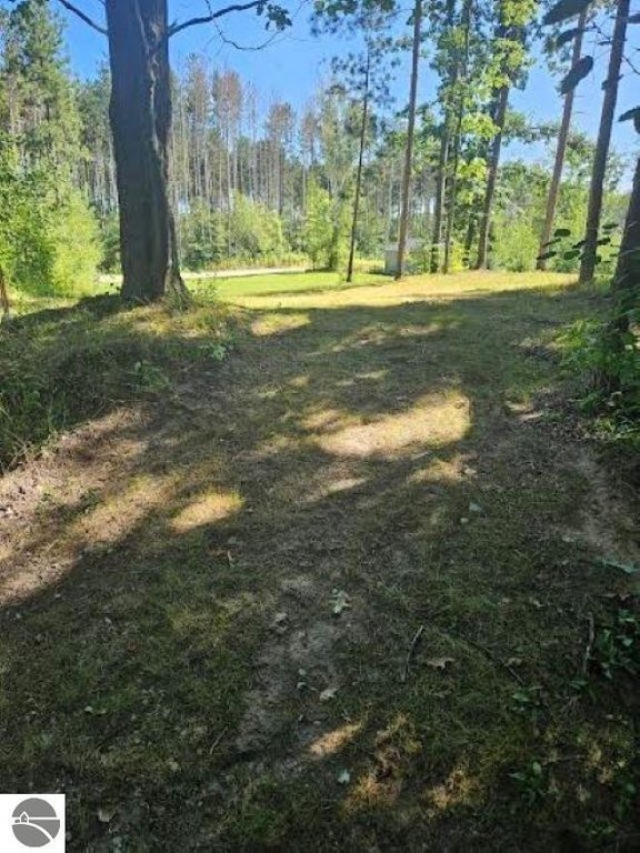 Picture 26