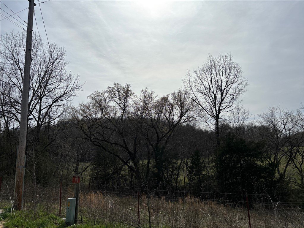 Picture 37