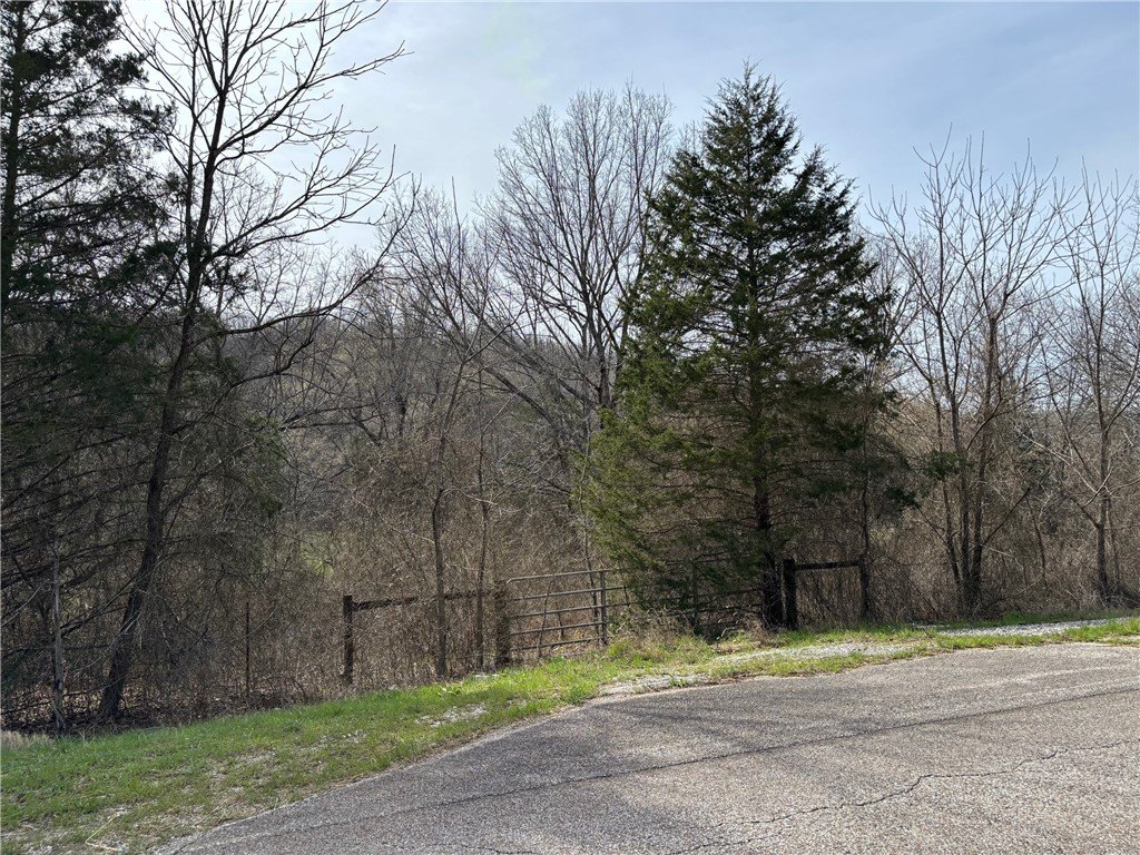 Picture 21