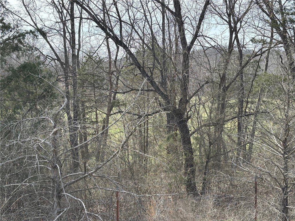 Picture 32