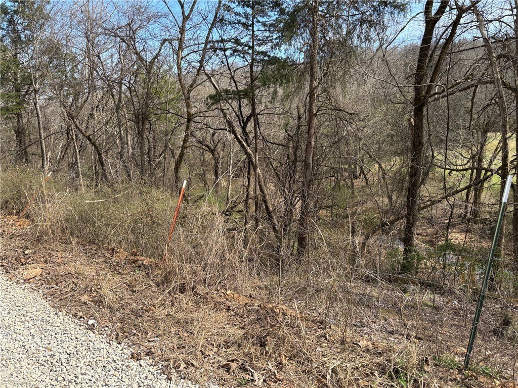 Picture 45