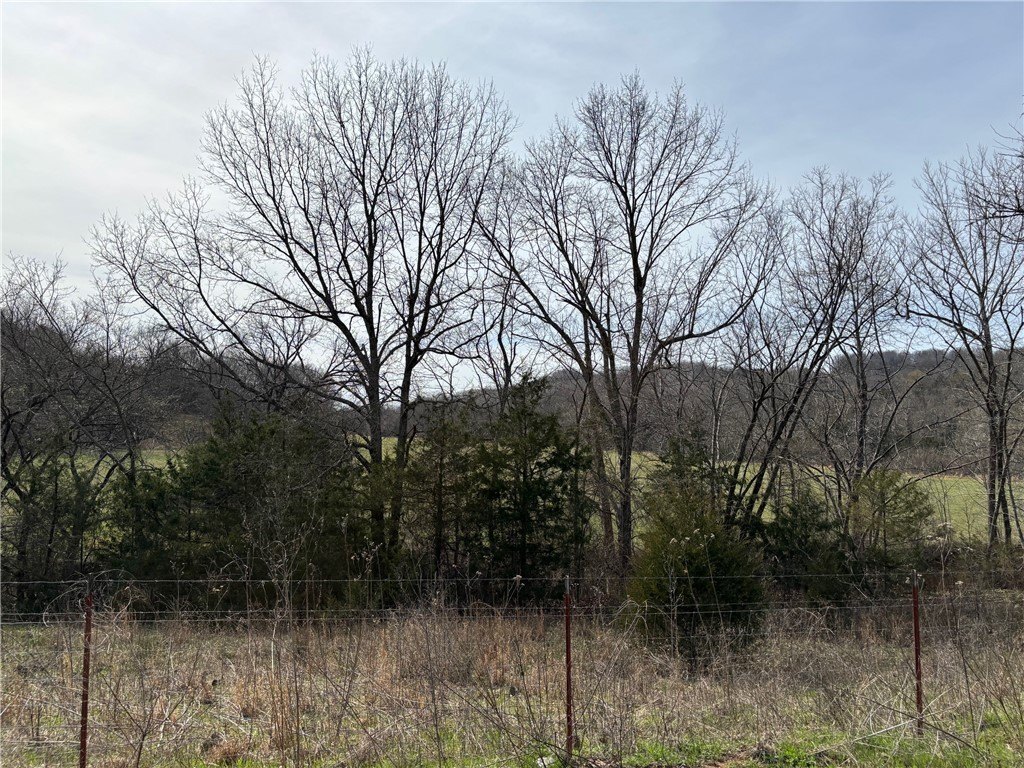 Picture 38