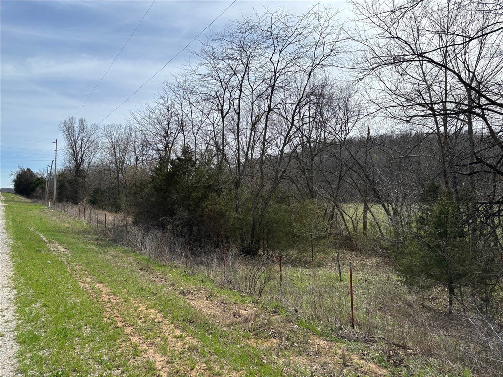Picture 16
