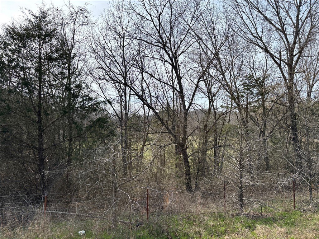Picture 31