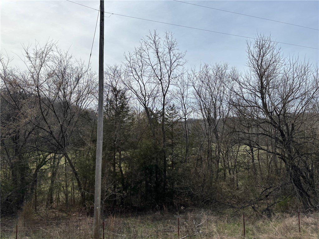 Picture 29