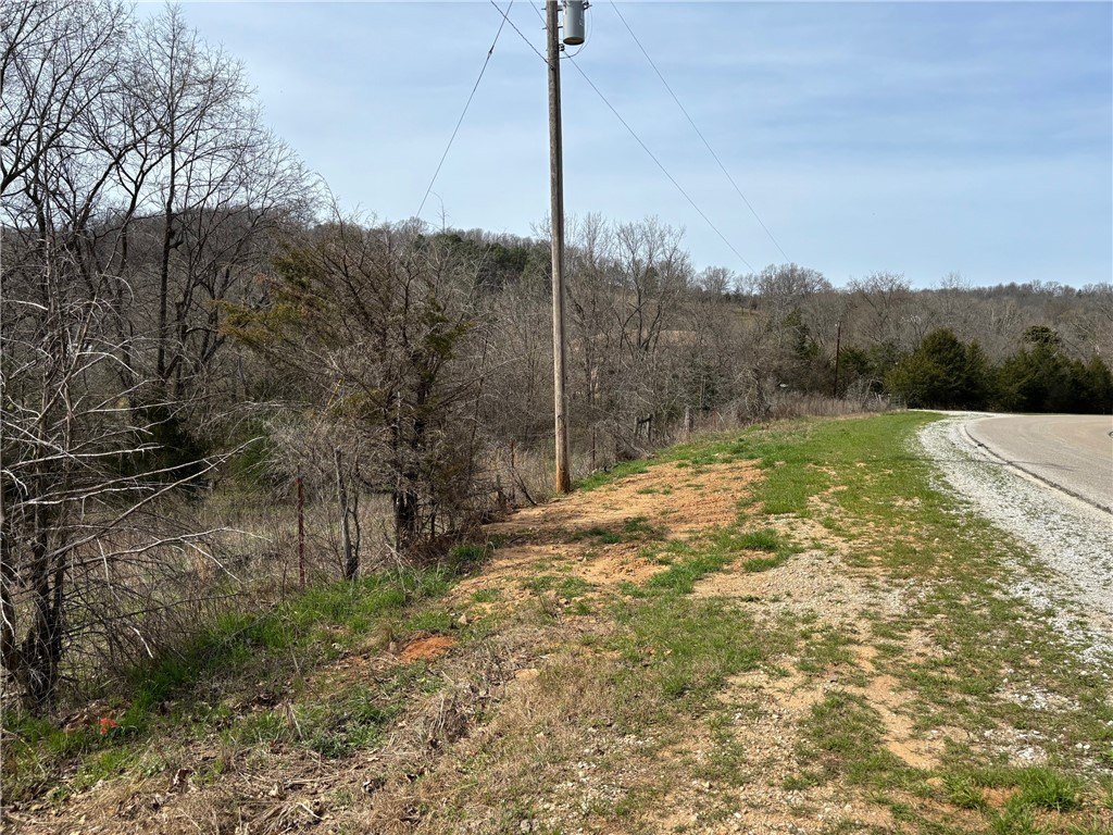 Picture 14