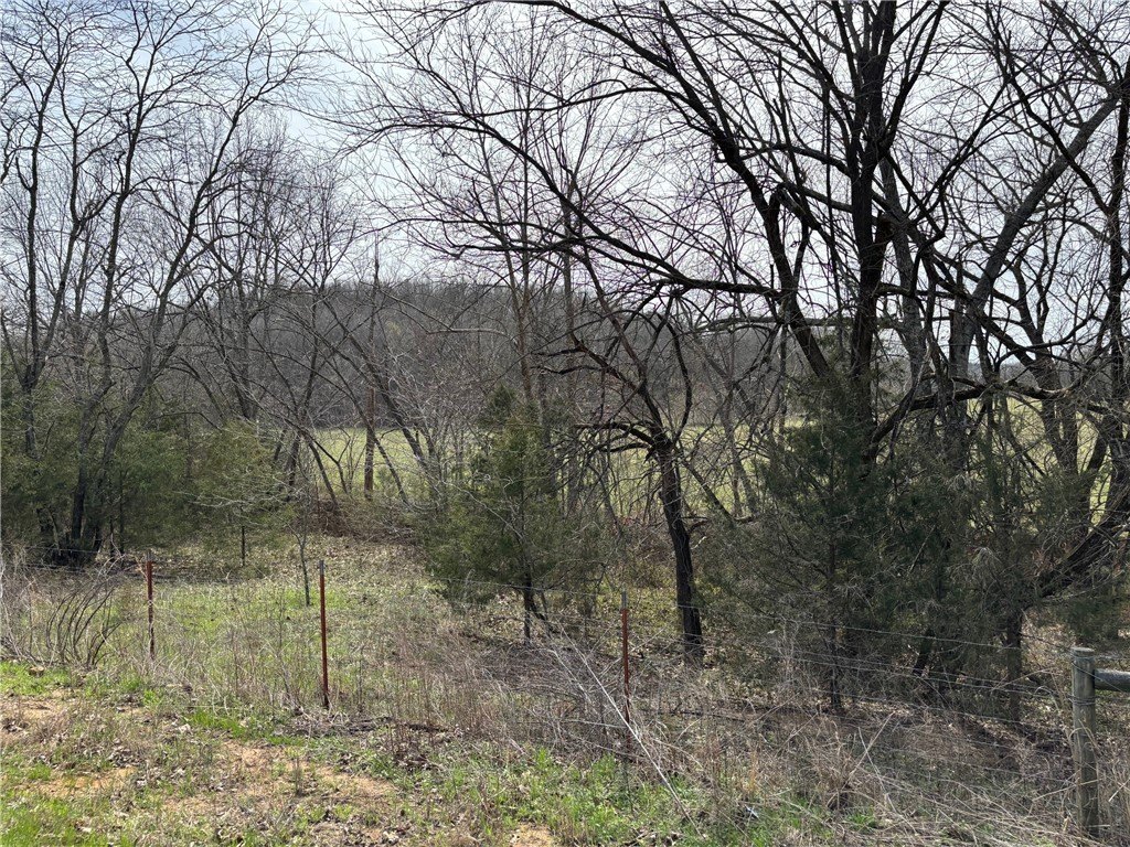 Picture 15