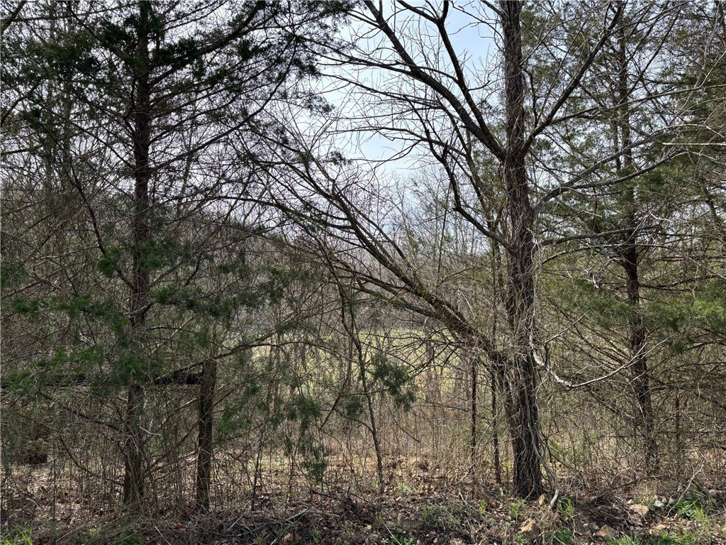 Picture 25