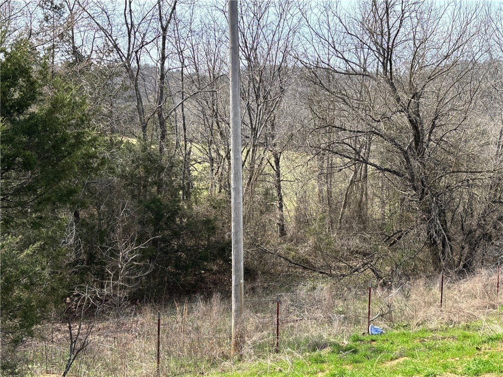 Picture 28