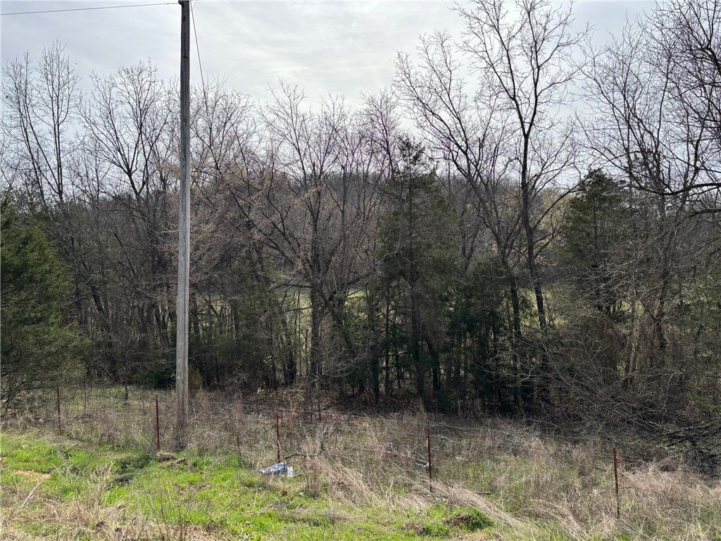 Picture 30