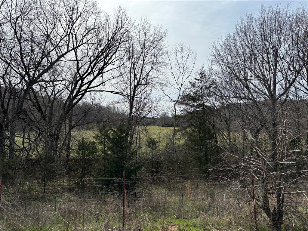 Picture 19