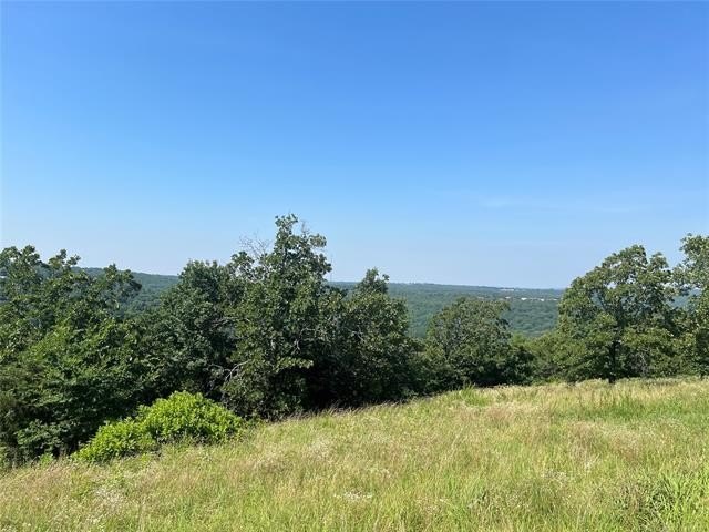 Picture 9