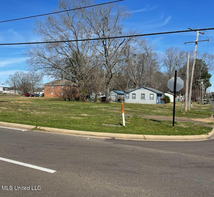 Commercial Corner Lot in Pearl
