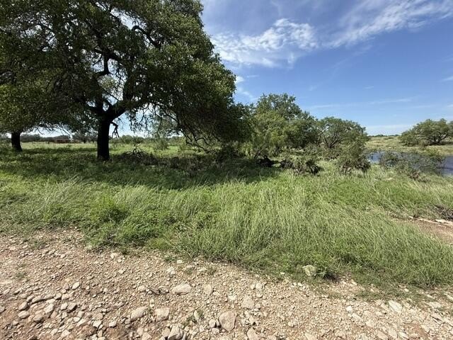 Picture 18