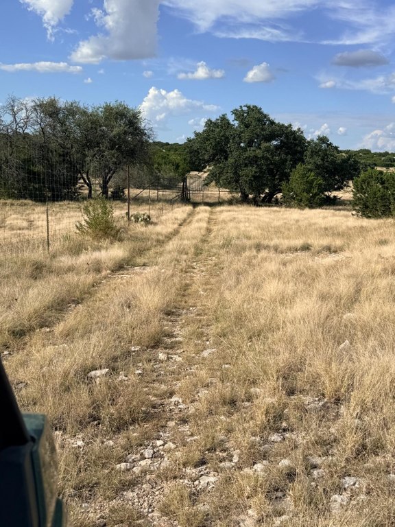 Picture 29